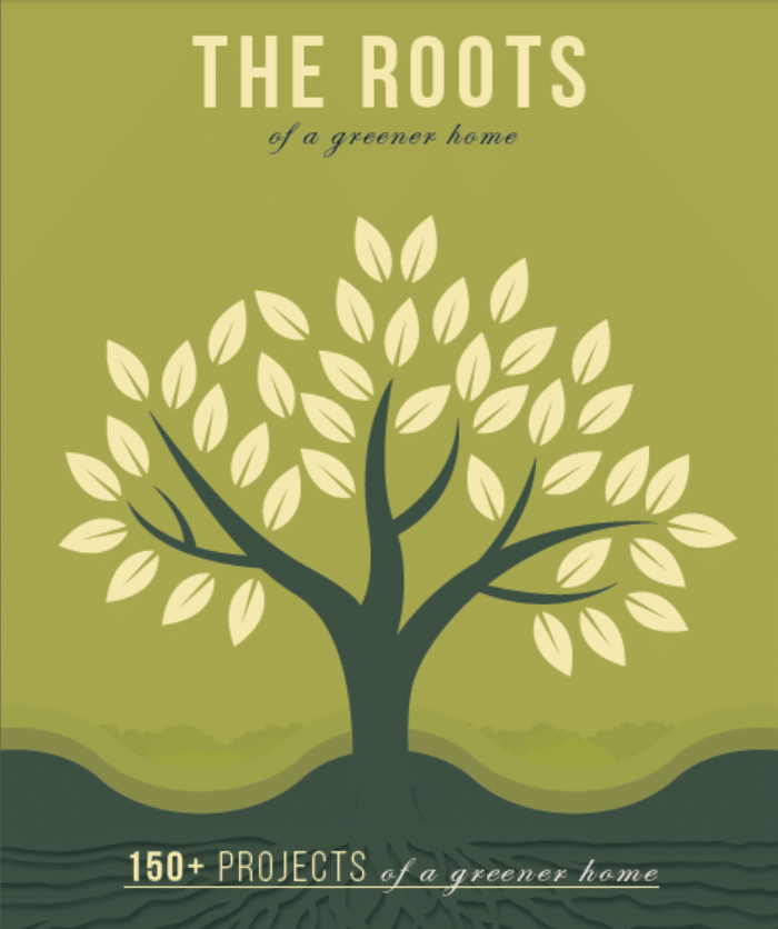 Roots cover