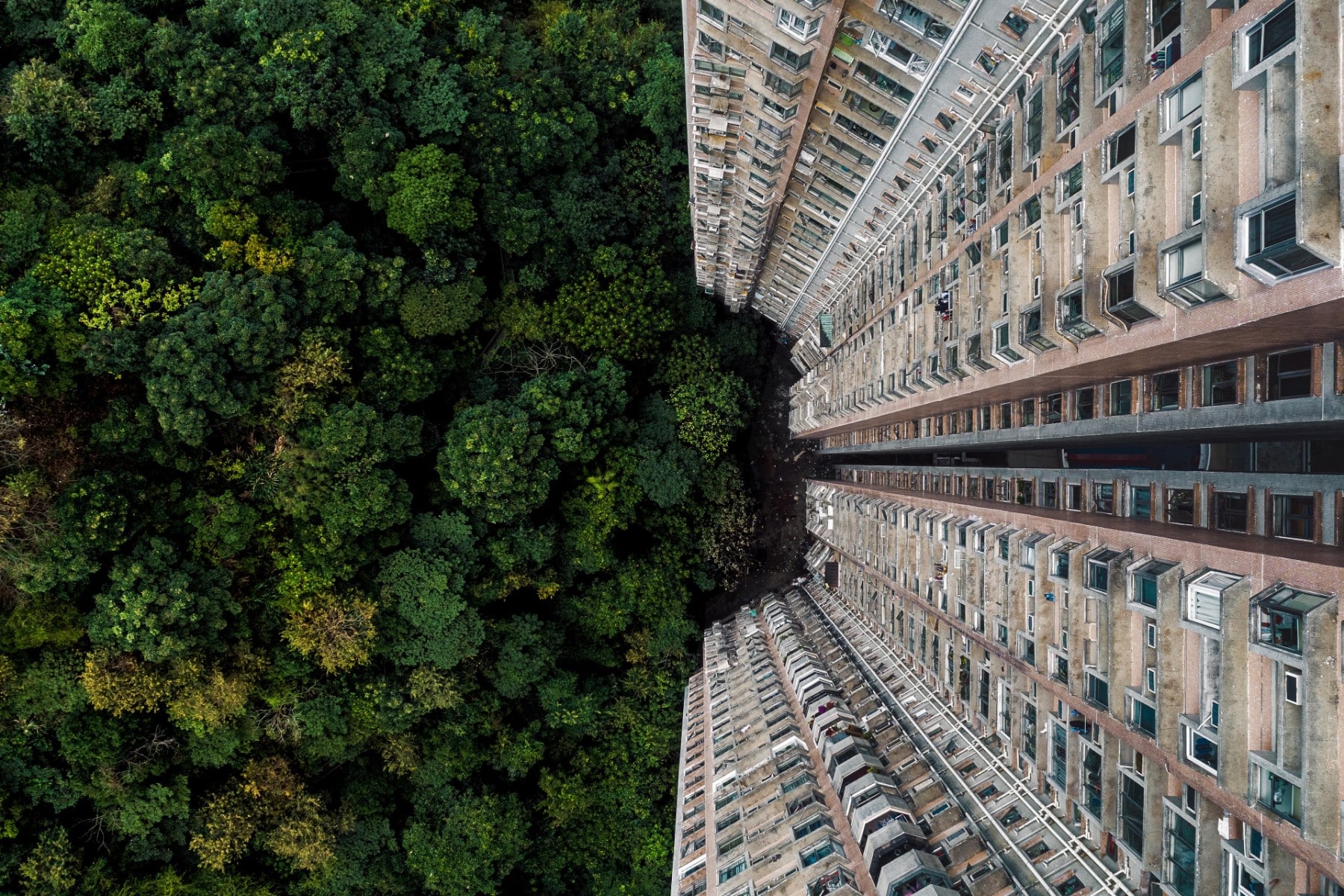 Accelerating Building Decarbonization:Where Are We &  How Will We Reach  Our Goals?